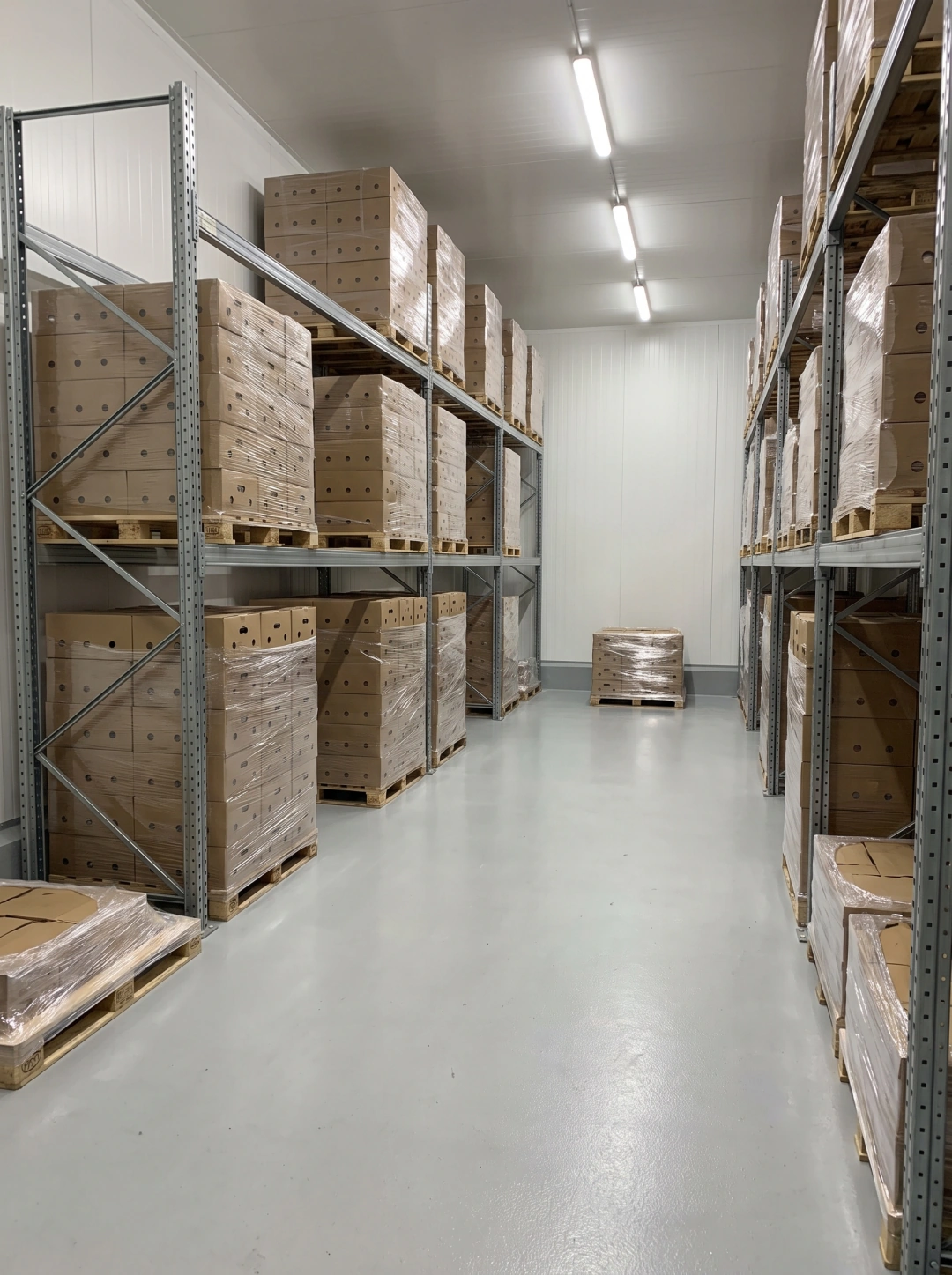 Entrepôt avec racks de palettes de cartons d'œufs